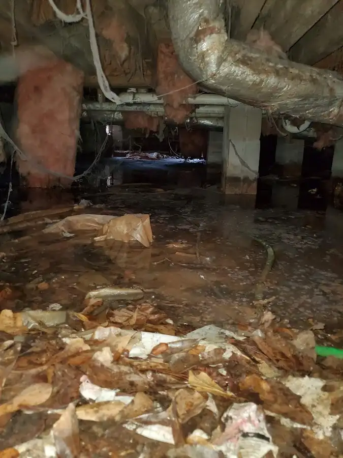 Crawl space flood assessment for Leak Detection & Repair in Valley